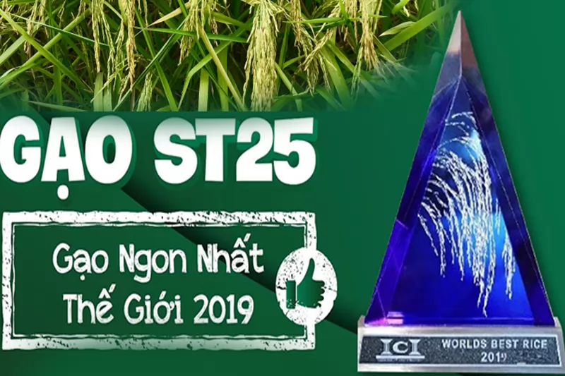 Gạo ngon nhất thế giới hiện nay là loại gạo gì