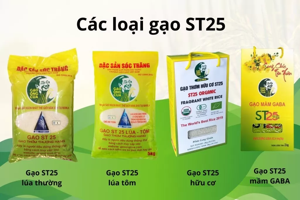 Gạo ST25 giúp bà con thoát nghèo trở thành giàu có bền vững1