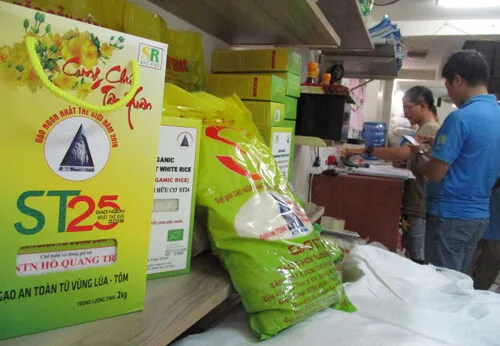 Gạo ST25 Nhiều Tiềm Năng Xuất Khẩu Ra Thị Trường Quốc Tế