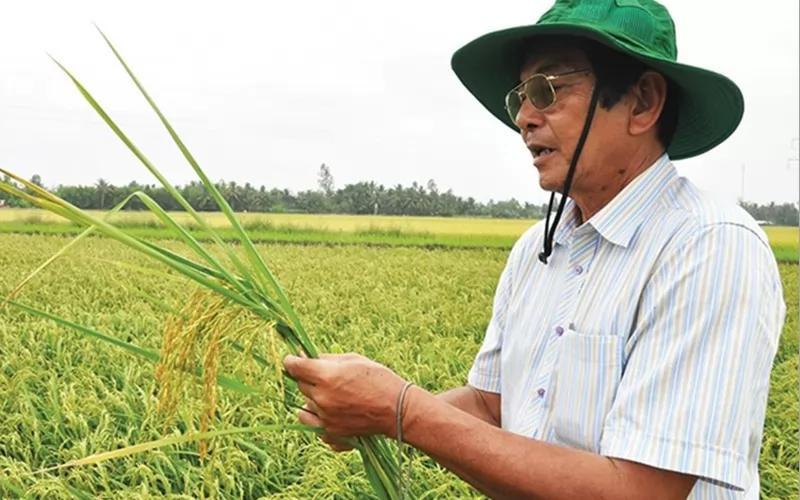 Kỹ sư Hồ Quang Cua nâng tầm thu nhập nông dân Việt1