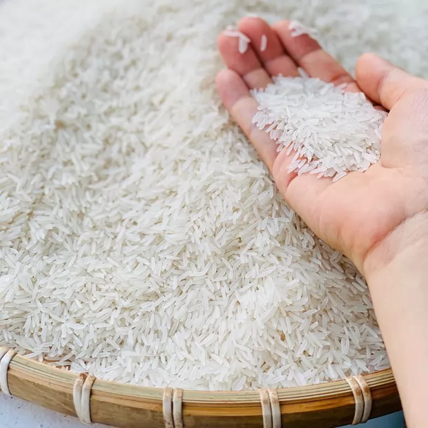 Mua gạo ST25 Ông Cua ở đâu hàng chuẩn giá chuẩn1