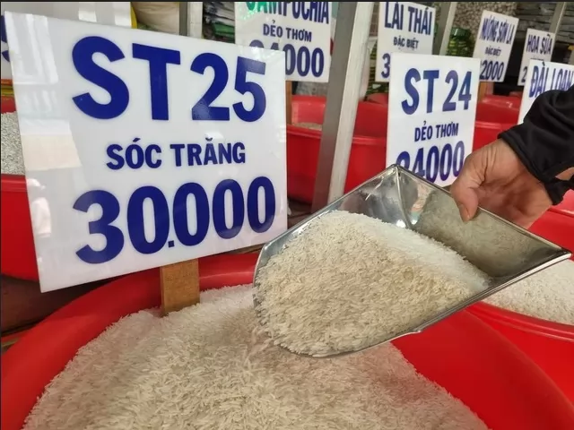 Tại sao lại chọn gạo ST25 Ông Cua mà không phải gạo ST25 khác?