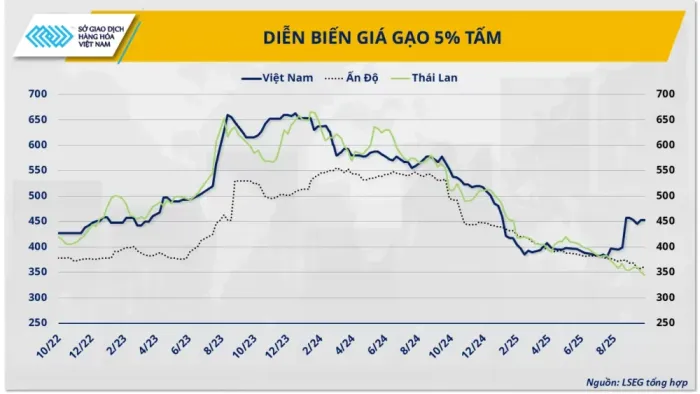 Tình Hình Biến Động Giá Gạo ST25 Năm 2026 - Cập Nhật Mới Nhất