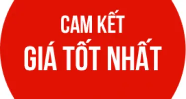 Đảm bảo giá gạo ST25 hợp lý