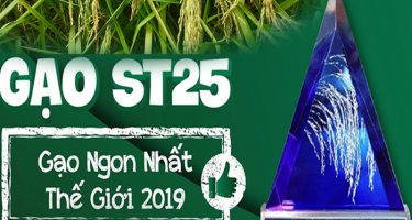 Gạo ngon nhất thế giới hiện nay là loại gạo gì?