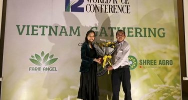 Gạo ST25 đạt giải nhì Gạo ngon nhất thế giới năm 2020 tại Mỹ