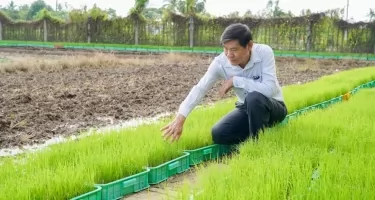 Gạo ST25 giúp bà con thoát nghèo trở thành giàu có bền vững