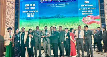 Gạo ST25 của Việt Nam lần thứ 3 được vinh danh “Gạo ngon nhất thế giới”