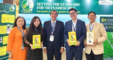 Gạo ST25 Ông Cua đoạt giải Nhì Gạo ngon nhất Thế giới 2026