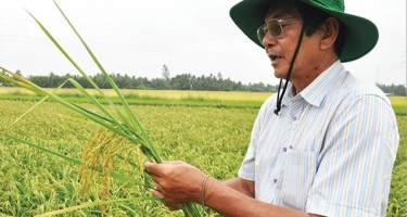 Kỹ sư Hồ Quang Cua người nâng tầm thu nhập nông dân Việt