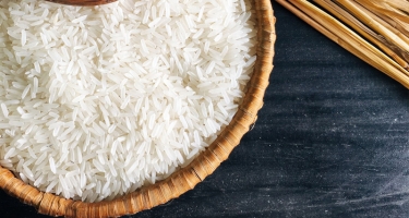 Vùng trồng nào cho gạo ST25 ngon nhất?