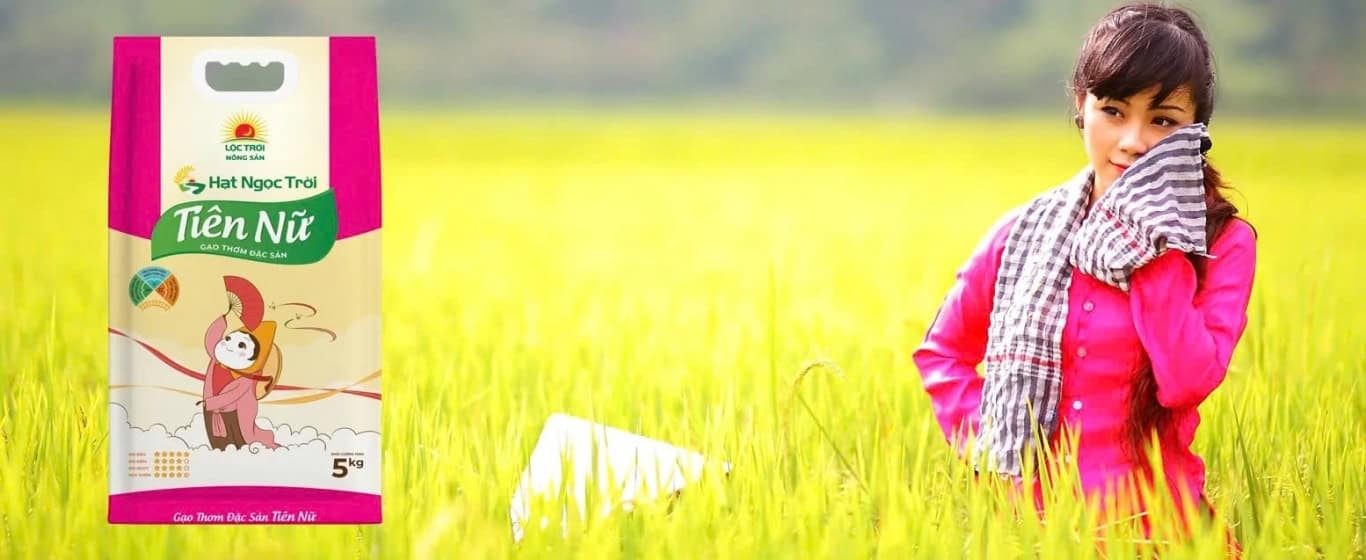 Gạo ngon st25 lộc trời chính hãng